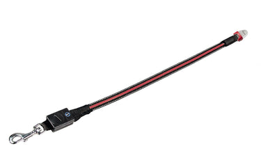 Flexi Vario LED Dog Flash Belt - S/M